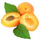 Apricots-summer fruits