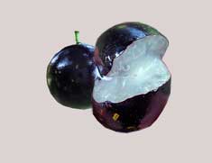 Eat-Jaboticaba
