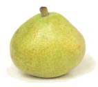 pear fruit