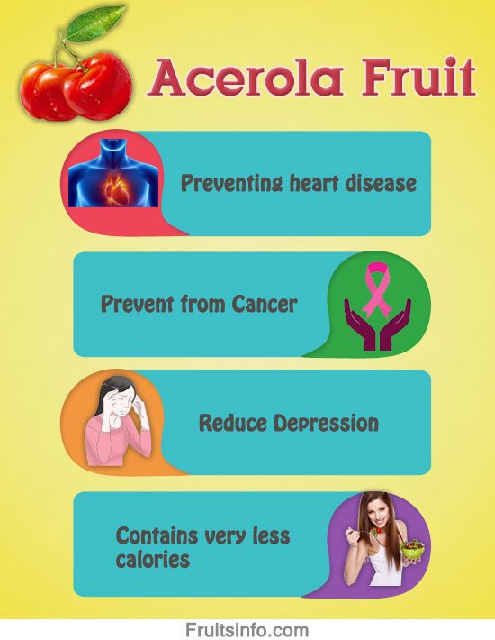 Acerola Infographic