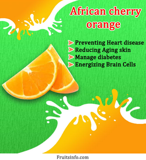 African Cherry Orange Nutrition Facts African Cherry Orange Health Benefits