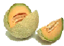 Cantaloupe
