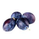 damson fruit