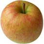 falstaff apple