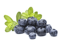 bilberry