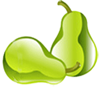 Fruits fruits