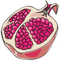 Fruits fruits