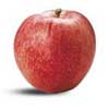 Royal Gala apple