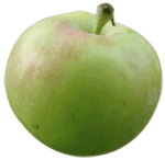 green-apple-soft crispy fruit