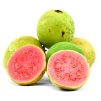 Guava-sweet hard fruit