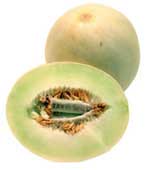 Honeydew Melon-summer fruits