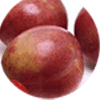 nectacotum fruit