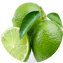 persian-lime