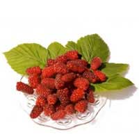 Tayberries-summer fruits