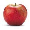 Idared apple