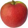 james-grieve apple