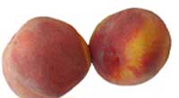 non-melting_peach