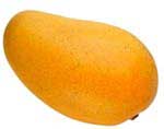 Mango-summer fruits