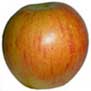 rubinette apple