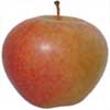 sonya apple