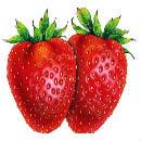 Strawberries-summer fruits