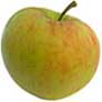sunset apple
