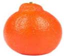 Tangelo winter fruit