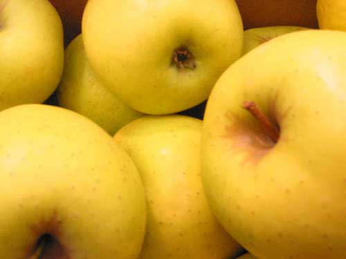 Yellow apples Yellow apples