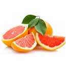 turunçgiller hakkında bilgi