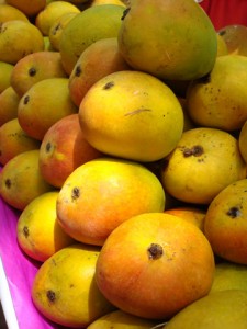 Mangoes go on a decline hit by Global warming