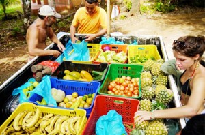 Fruits-and-veggies-to-be-sold-from-trucks