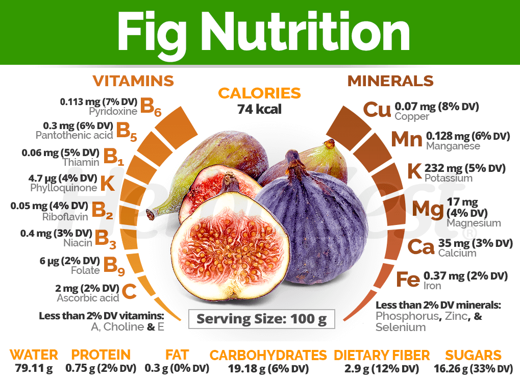 Marquee Karu Økonomi Nutrition Facts And Health Benefits Of Figs | Fruits Facts