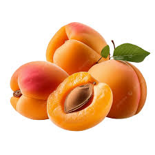 Apricot fruit from Afghanistan