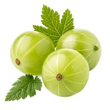 Amla fruit from India