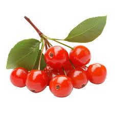 Bajan Cherry fruit from Barbados