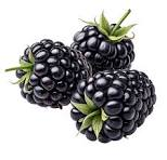 Blackberry fruit from Serbia