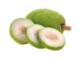 Breadfruit fruit from Micronesia