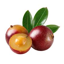 Camu Camu fruit from Peru