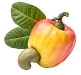 Cashew Apple fruit from Senegal