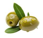 Ceylon Olive fruit from Sri Lanka