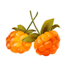 Cloudberry fruit from Sweden