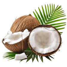 Coconut fruit from Congo