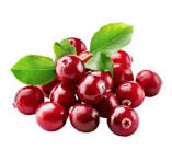 Cranberry fruit from Lithuania