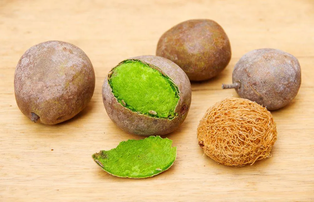 Ditakh fruit from Senegal