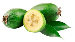 Feijoa fruit from New Zealand