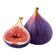 Fig fruit from Palestine