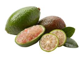 Finger Lime fruit from Australia