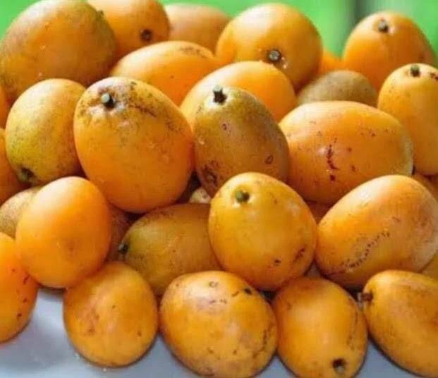 Golden Apple fruit from Guyana