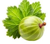 Gooseberry fruit from Denmark