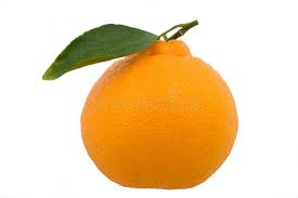 Hallabong Orange fruit from South Korea